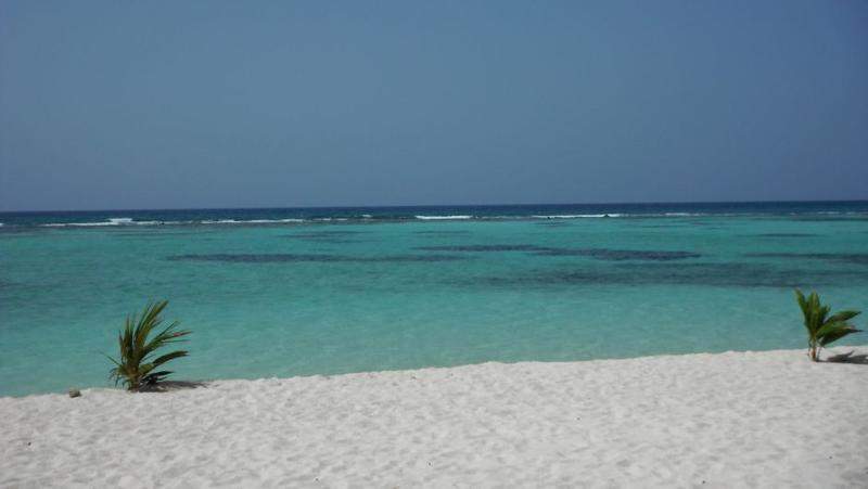 Canto de la Playa