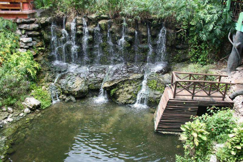 Cascata à entrada do buffet