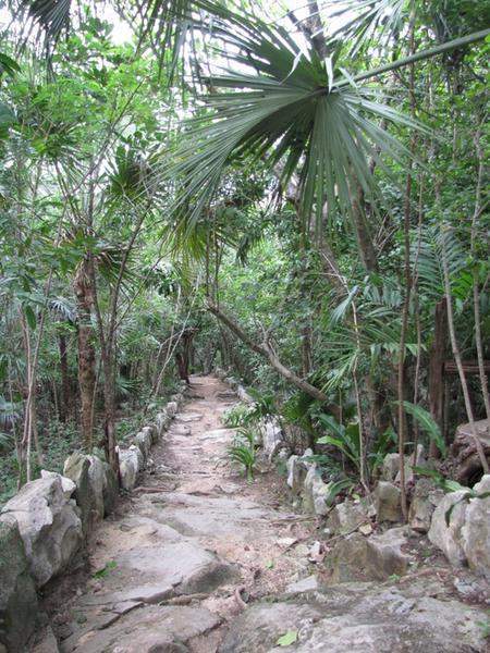 cenote Aul 1 (600x800)
