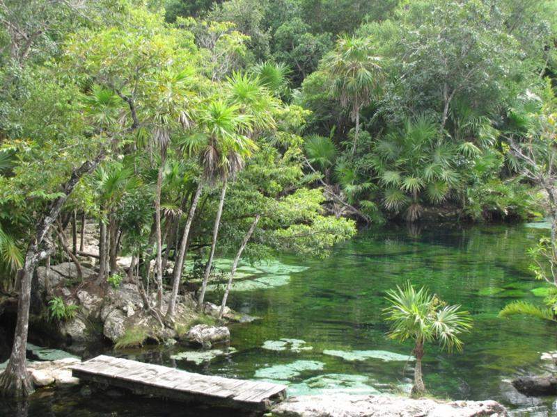 cenote azul (2) (800x600)
