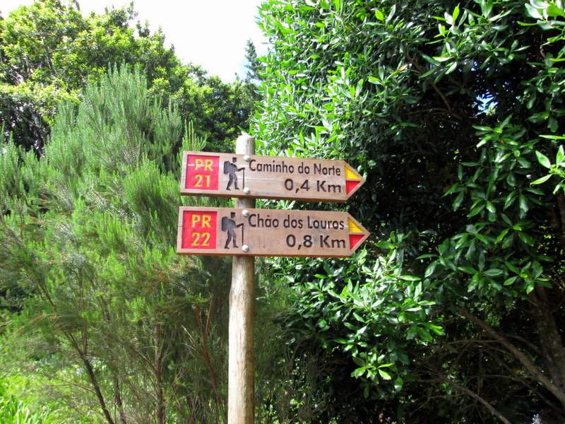 Chão De Louros 5