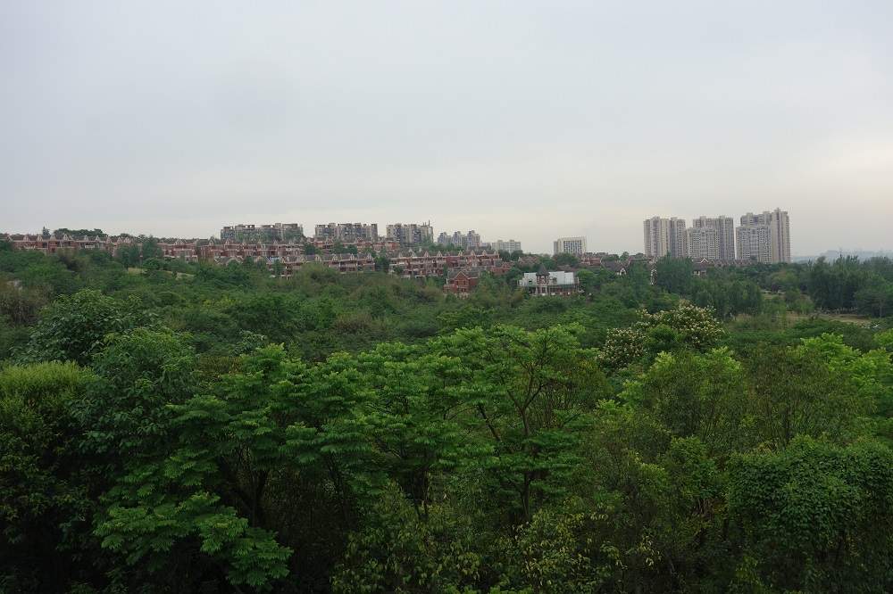 Chengdu 20