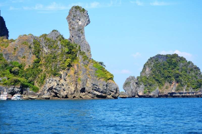 Chiken island
