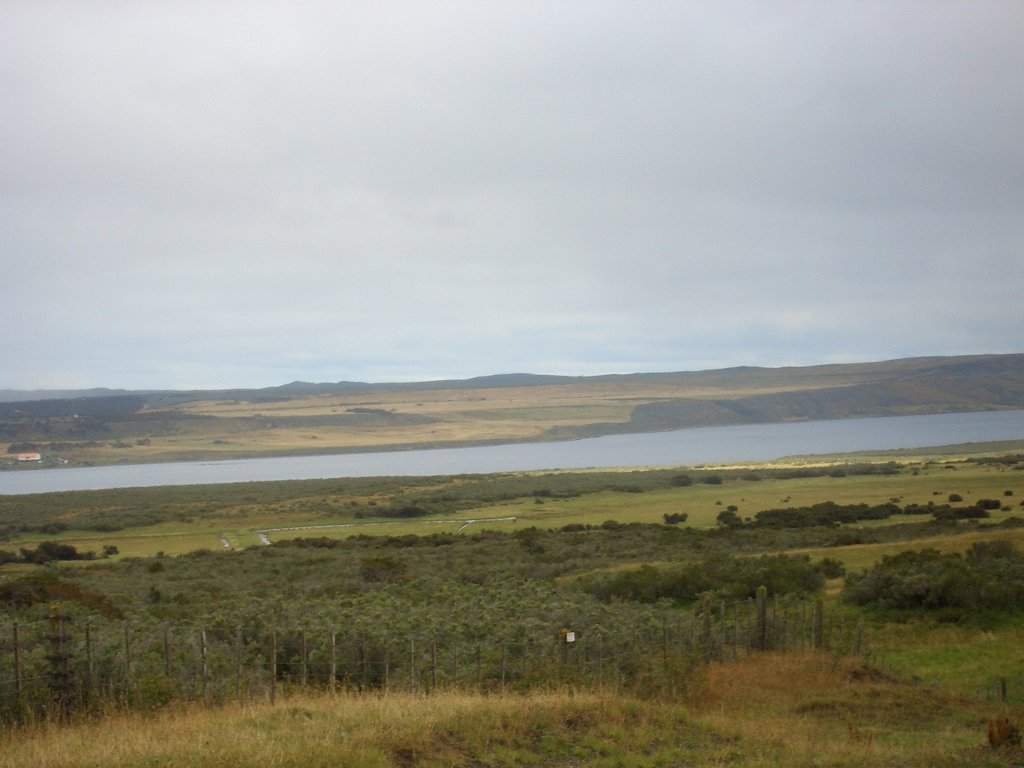 CIMG2491