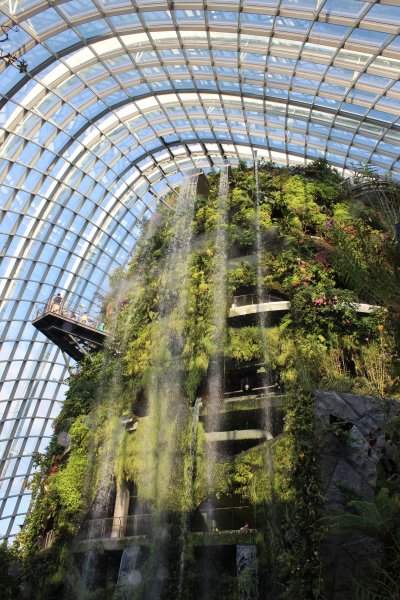 Cloud Forest @ Gardens by the Bay
