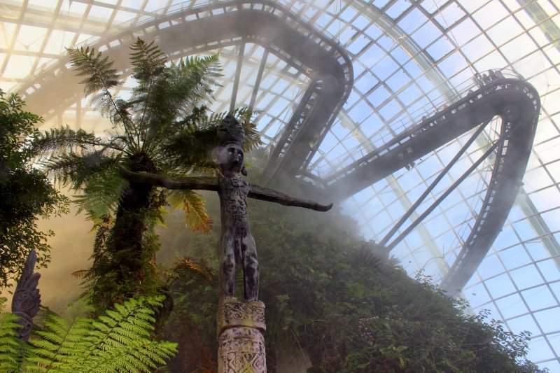 Cloud Forest