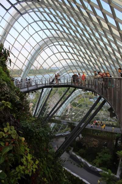 Cloud Forest