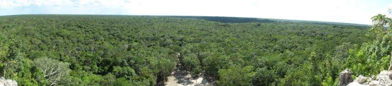 Coba 2/2