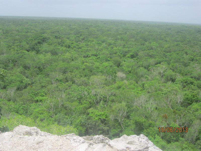 Coba Vista