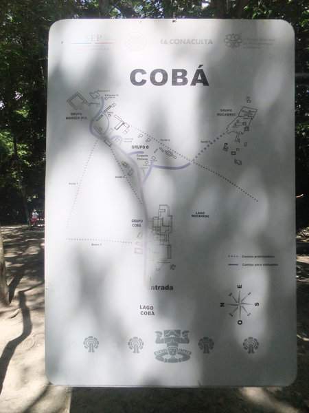 Coba1