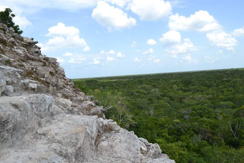 Coba6