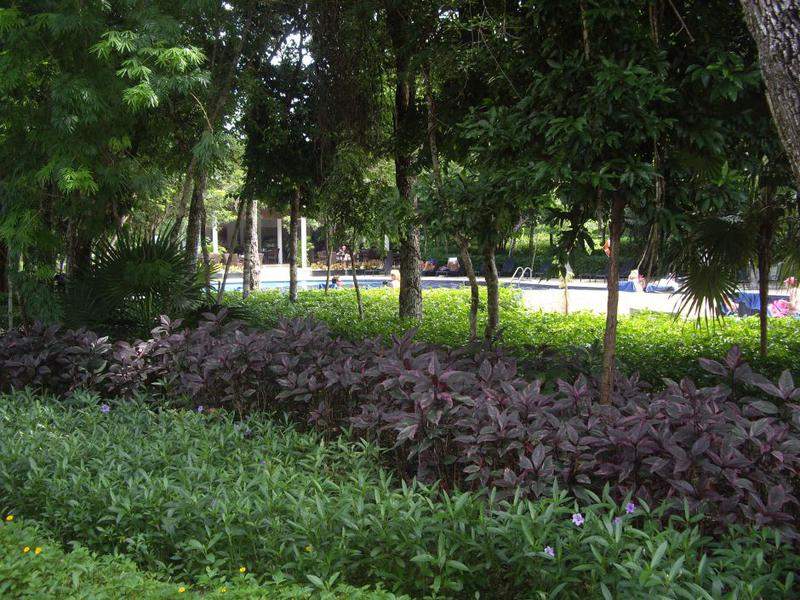 Cobetura piscinas
