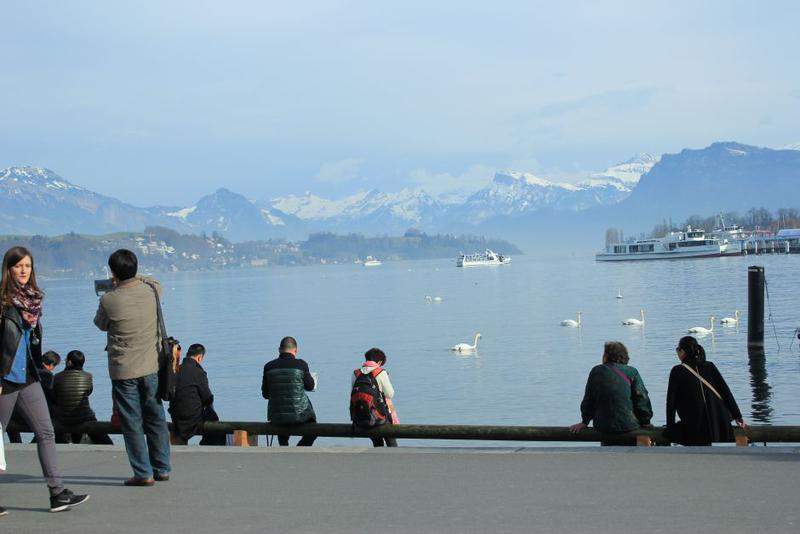 Contemplando o Lago
