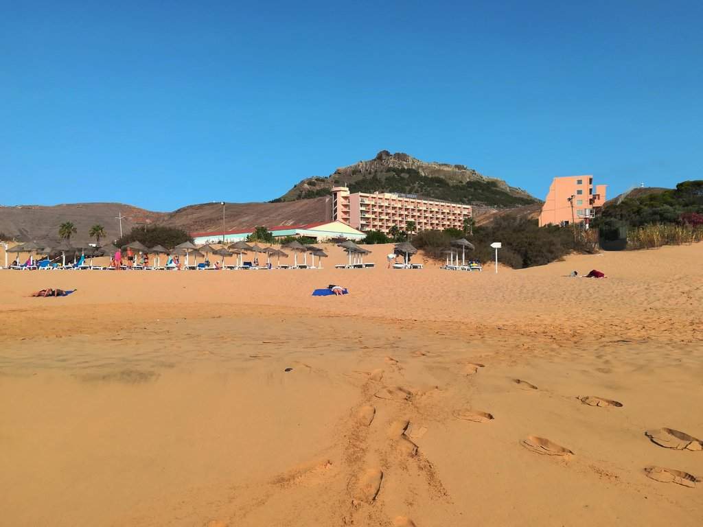 Copia1