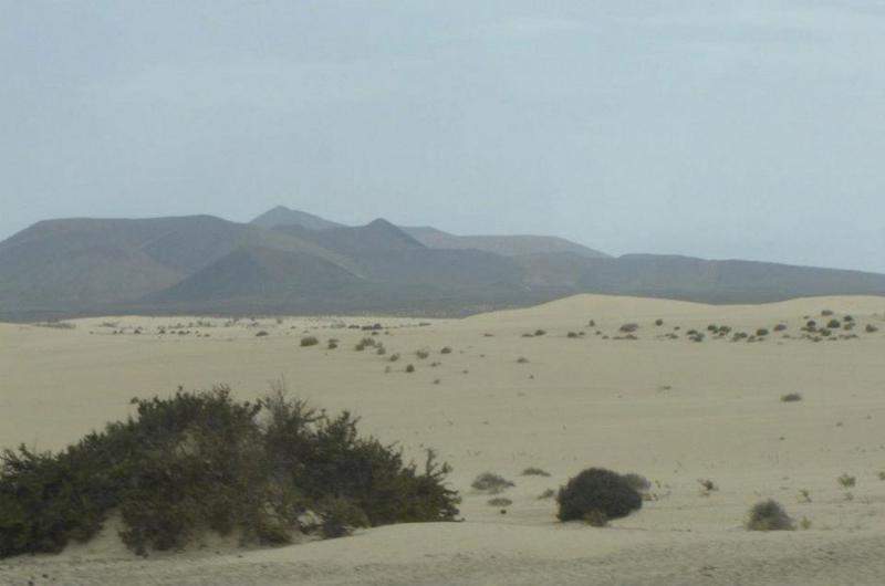 Corralejo