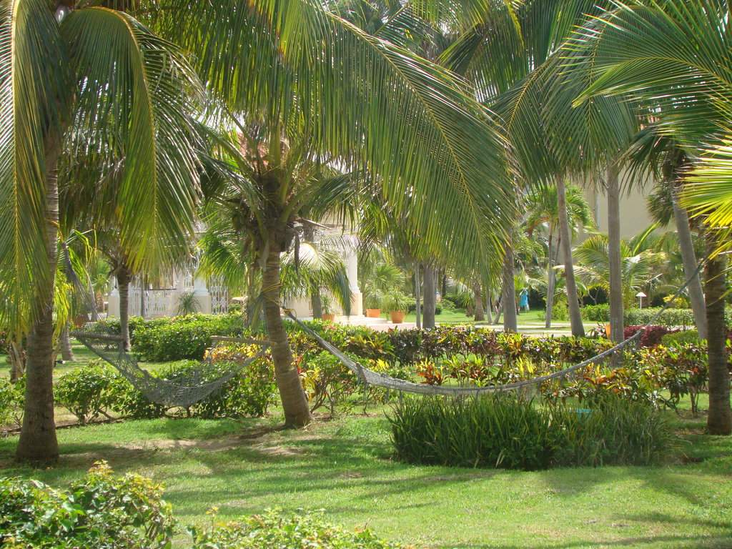 Cuba_paradisus_017