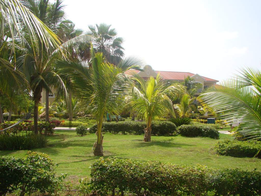 Cuba_paradisus_018