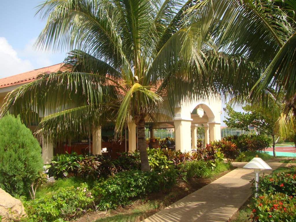 Cuba_paradisus_020