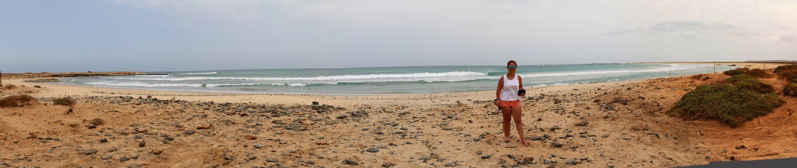 CV Pan 036 Ervatao (Copiar).jpg