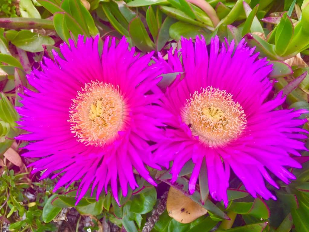 D9636730-DB9A-4A07-B02F-64F8955518BC