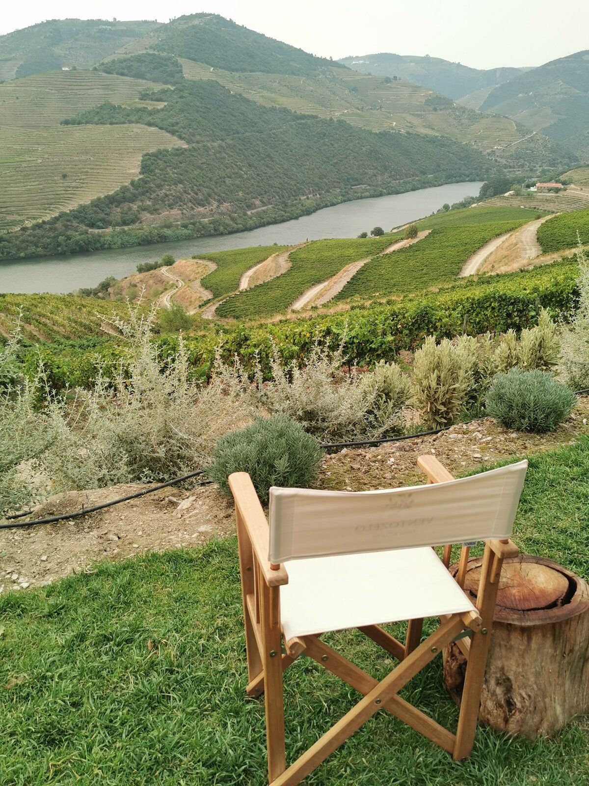 Douro - Setembro 2020 (19).jpg