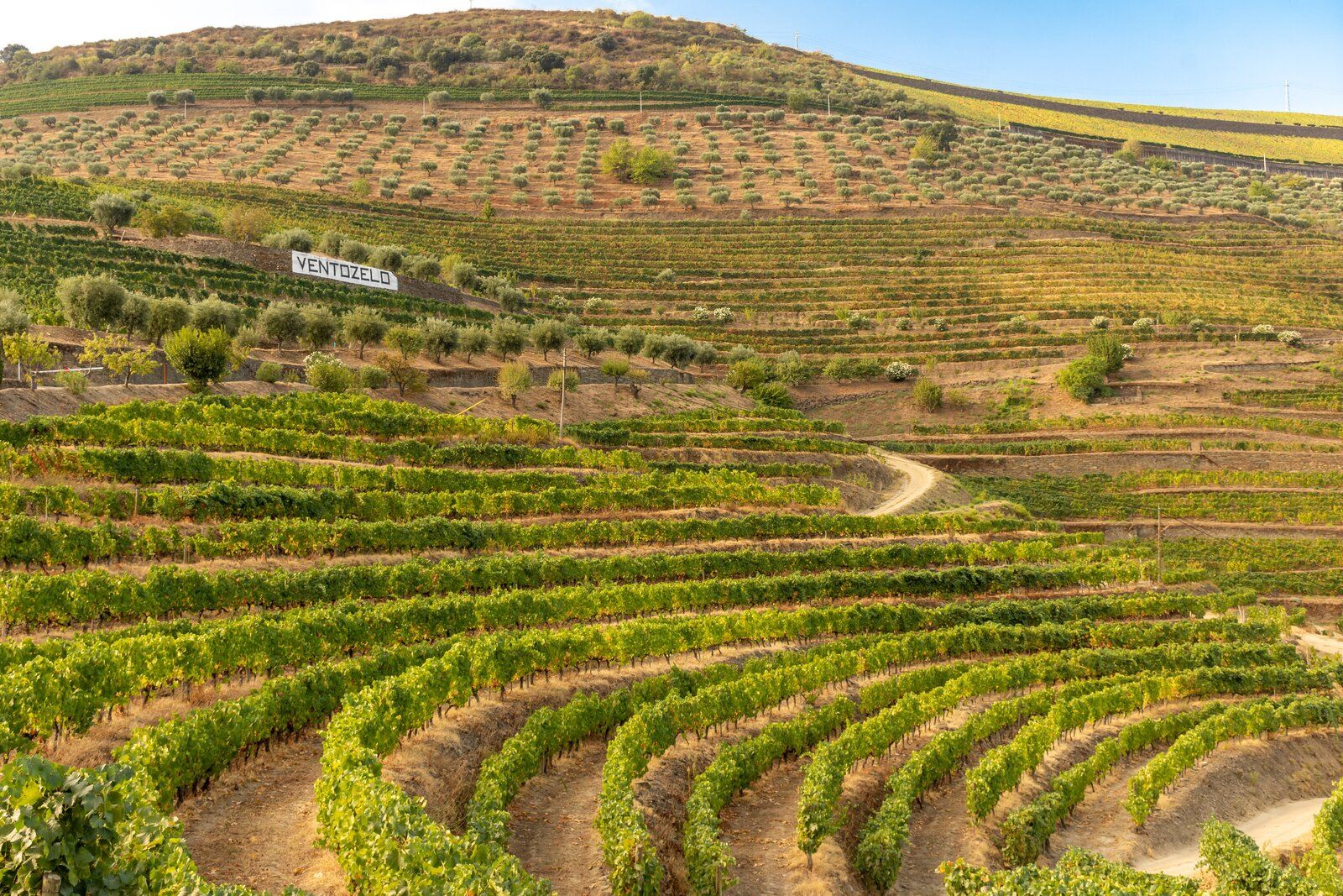 Douro - Setembro 2020 (32).jpg