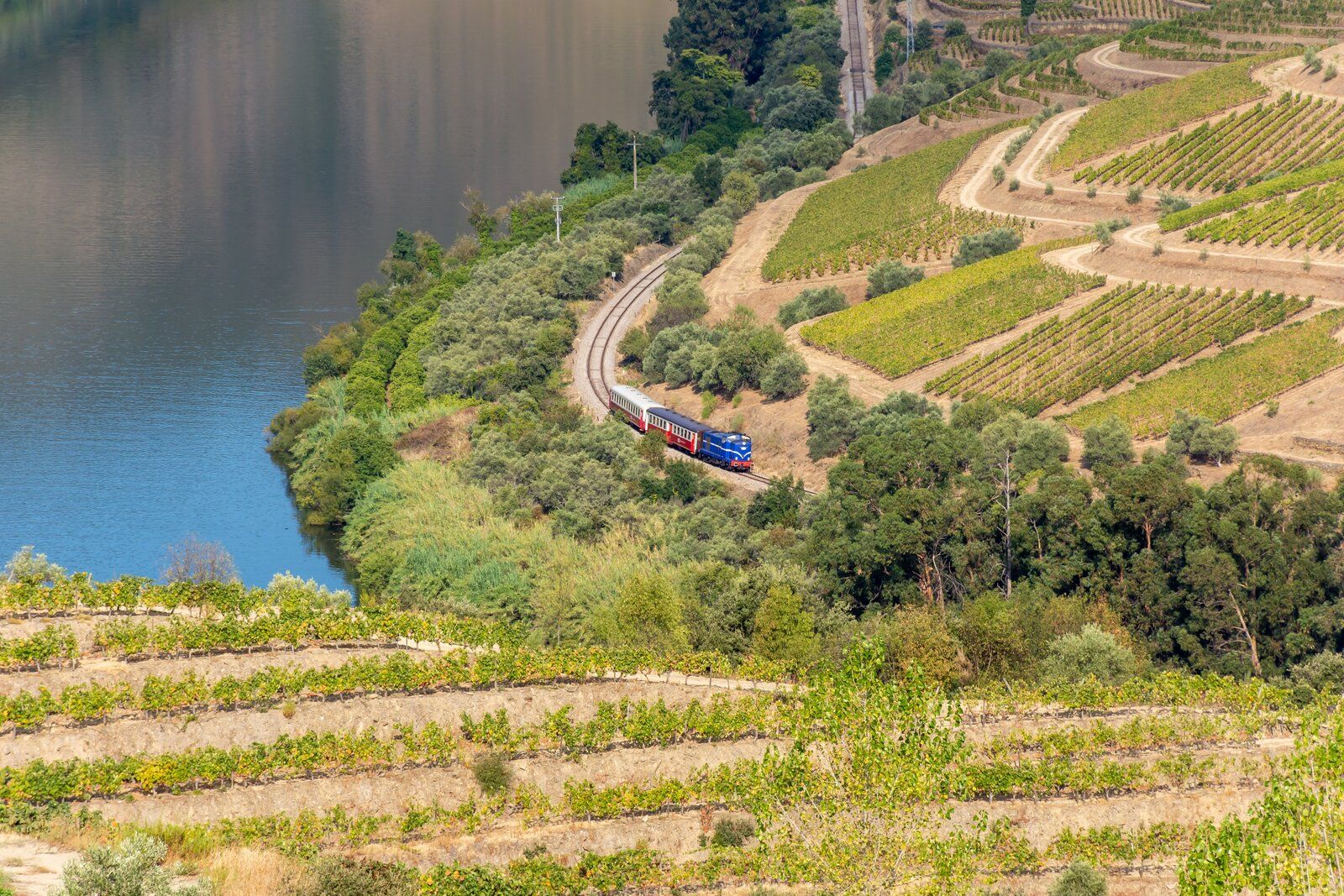 Douro - Setembro 2020 (41).jpg