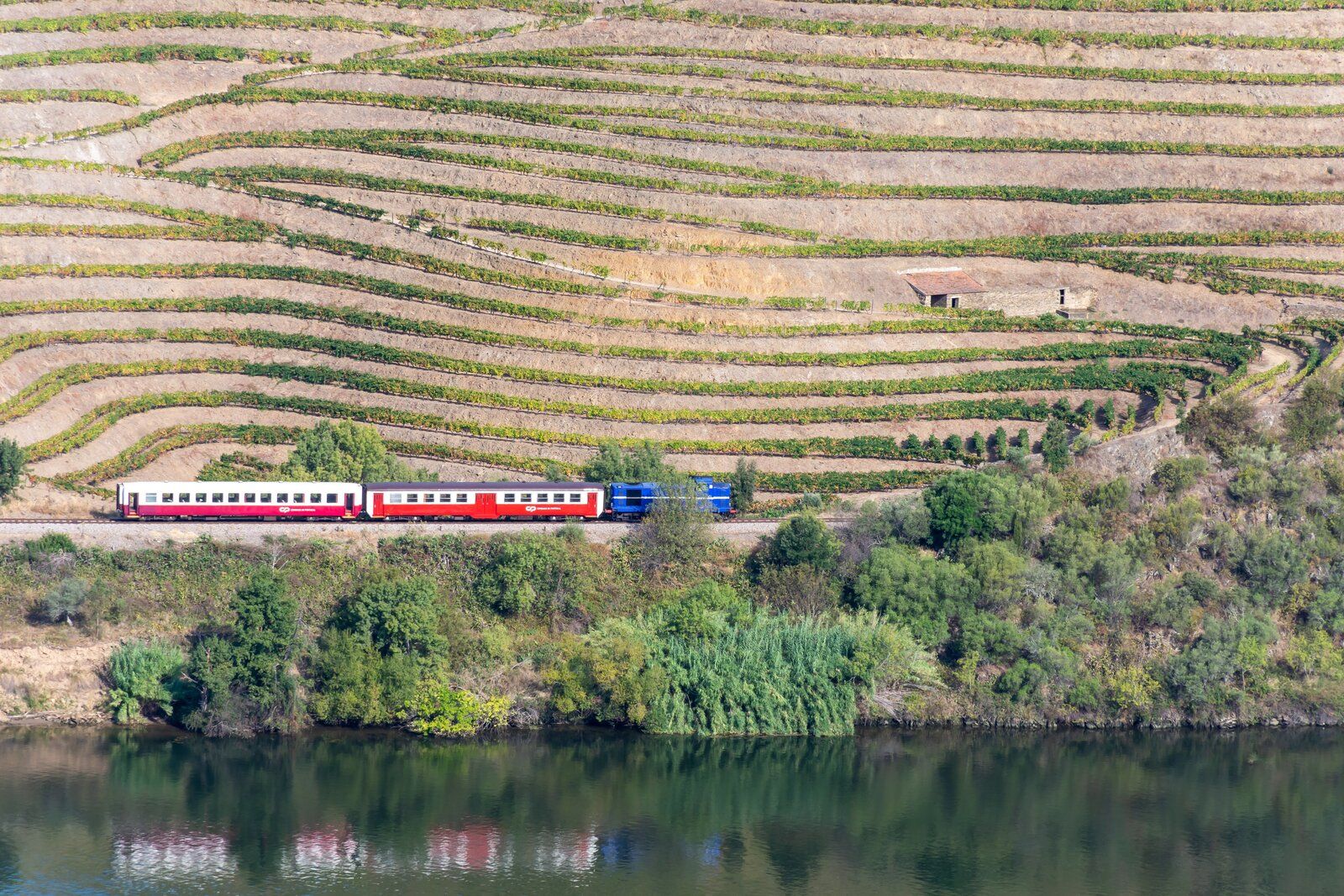 Douro - Setembro 2020 (42).jpg