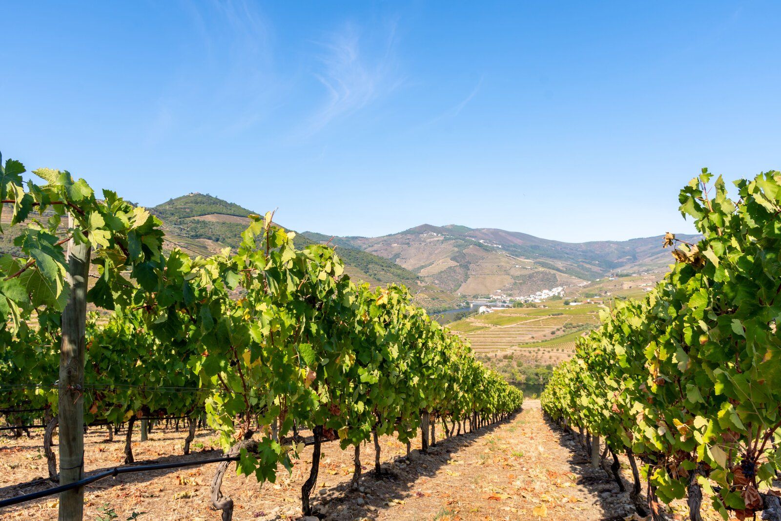 Douro - Setembro 2020 (47).jpg