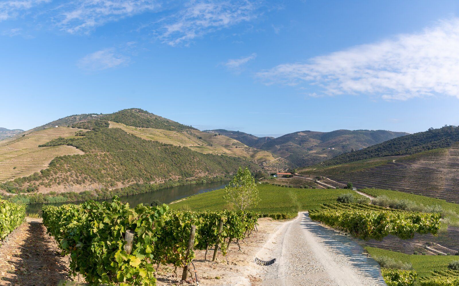 Douro - Setembro 2020 (50).jpg