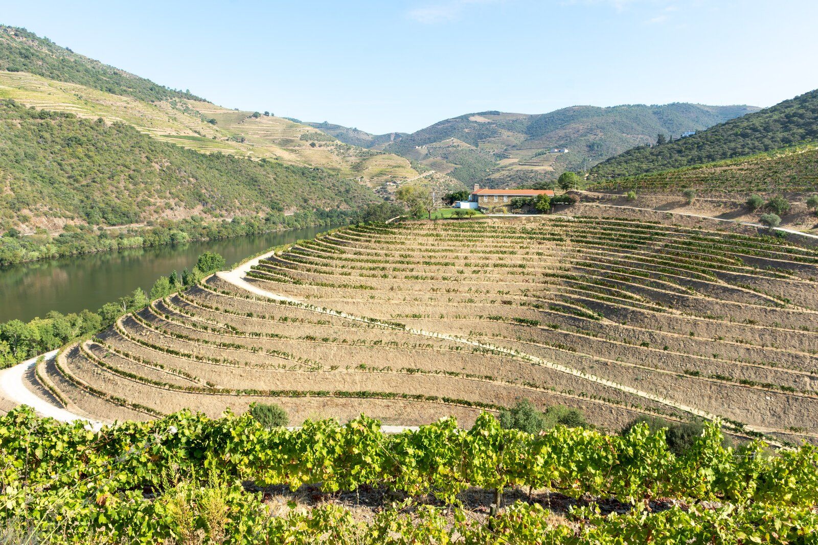 Douro - Setembro 2020 (52).jpg