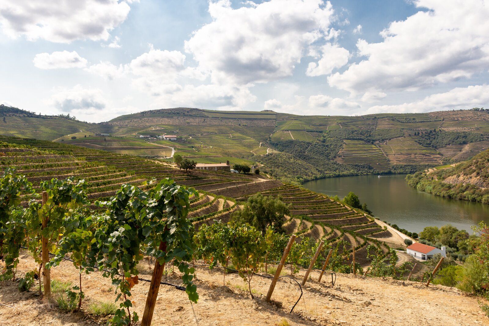 Douro - Setembro 2020 (71).jpg