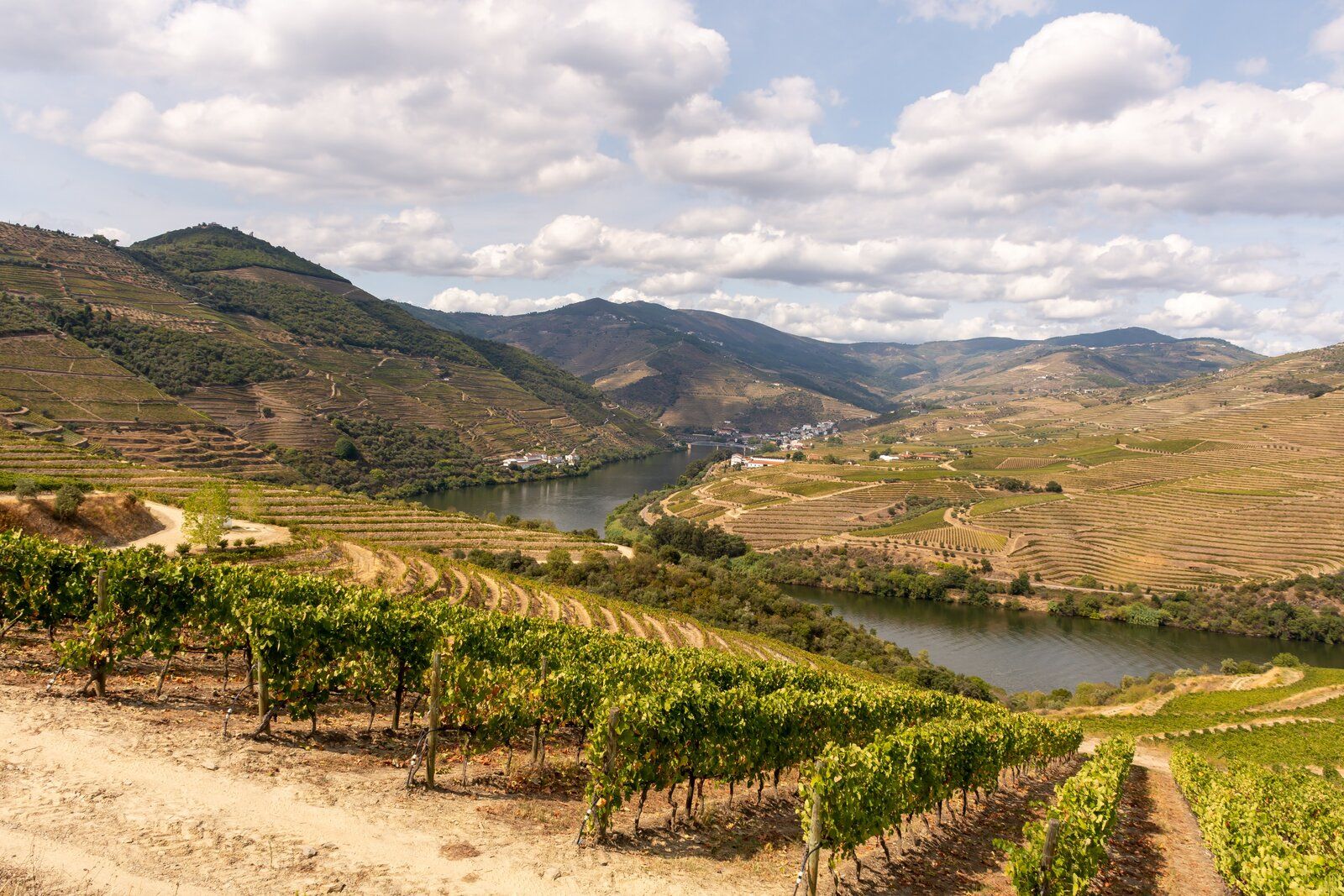 Douro - Setembro 2020 (76).jpg