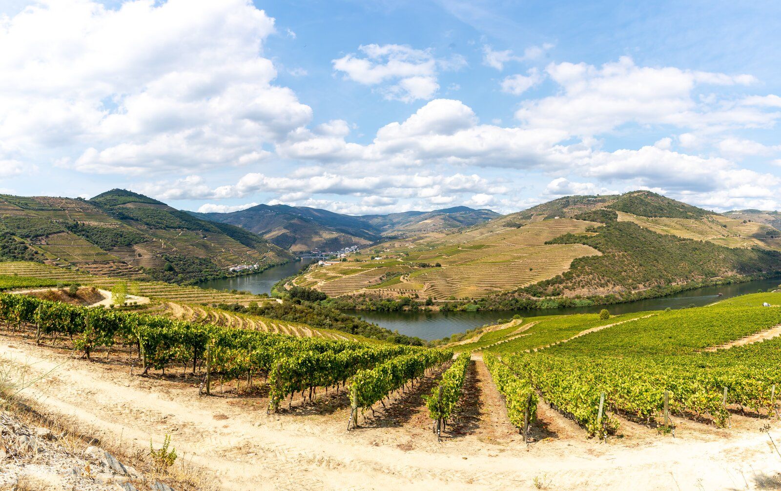 Douro - Setembro 2020 (77).jpg