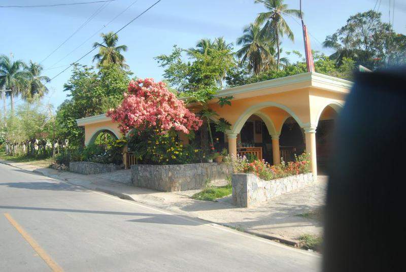 DSC 0029