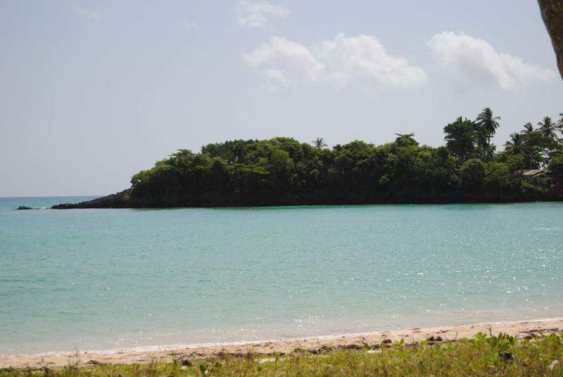 DSC 0149