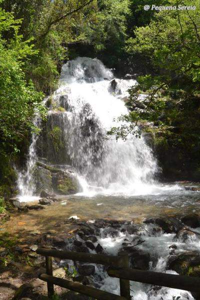 DSC 0177