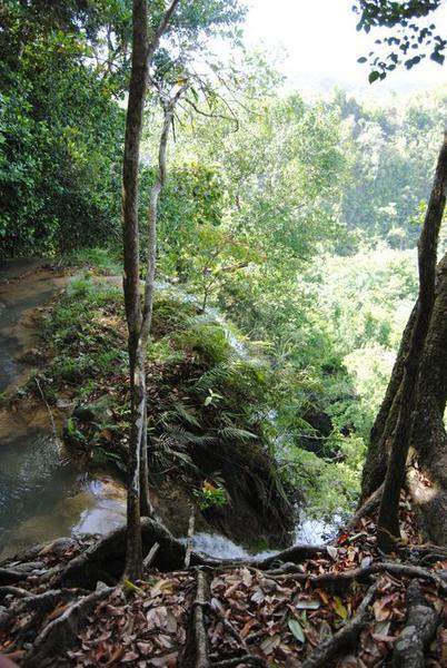 DSC 0201