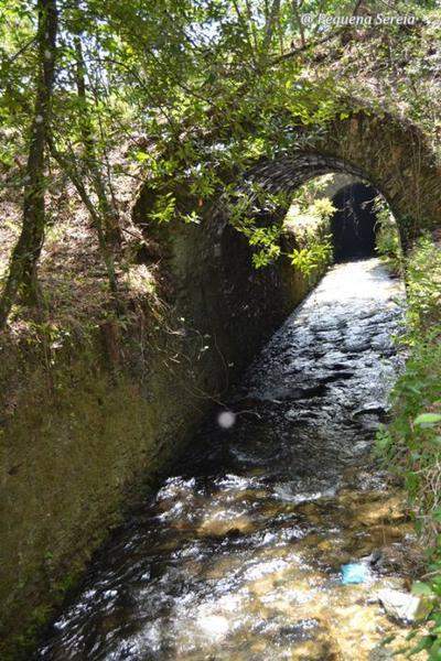 DSC 0240