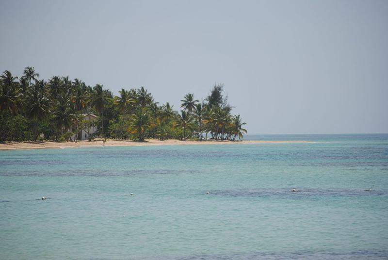 DSC 0333