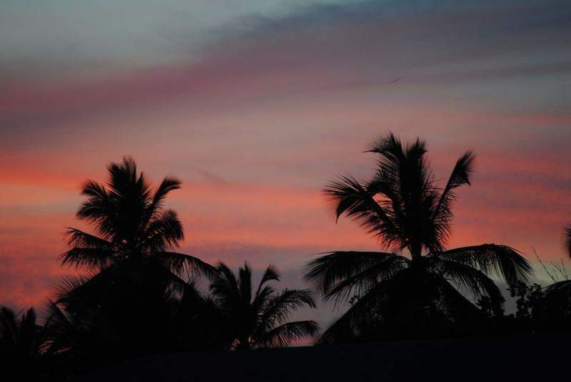 DSC 0518