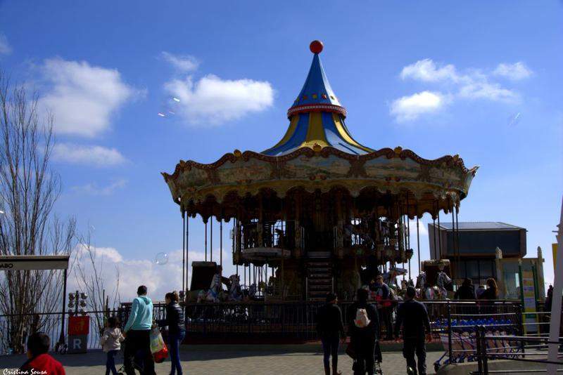 DSC 0690a