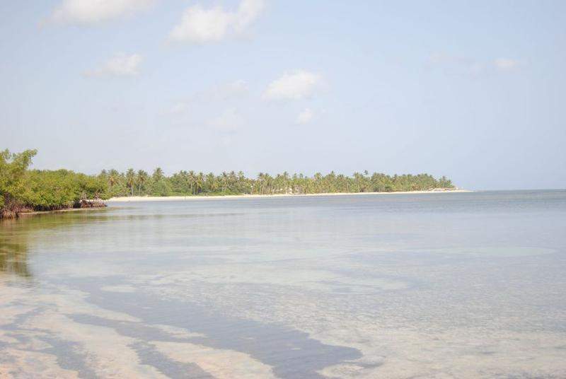 DSC 0744