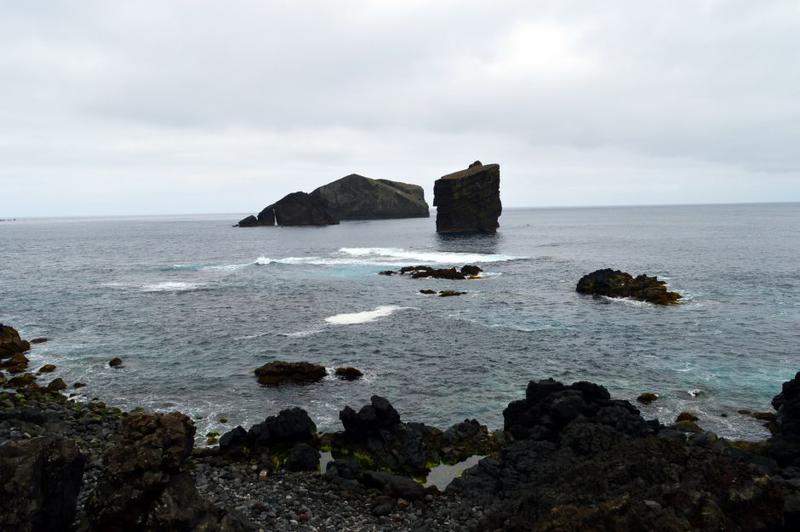 DSC 1198