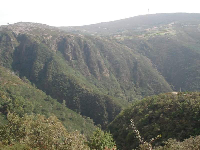 DSC00200