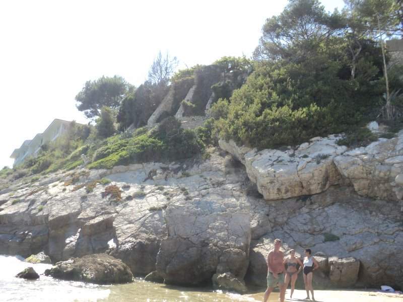 DSC00354