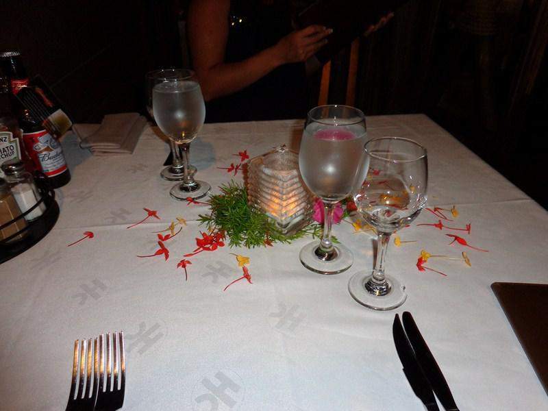 DSC00445 (Cópia).JPG