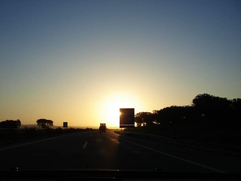 DSC00720