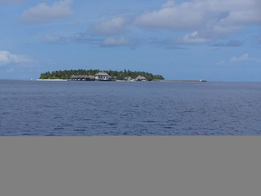 DSC00880