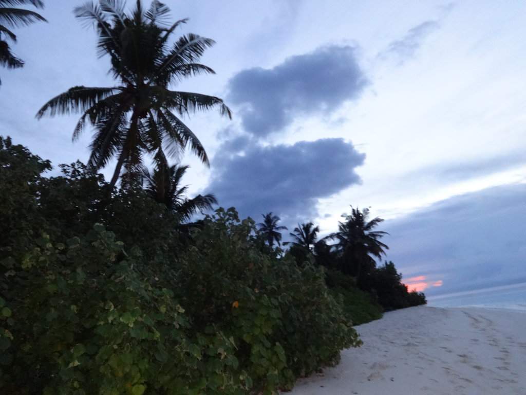 DSC01058